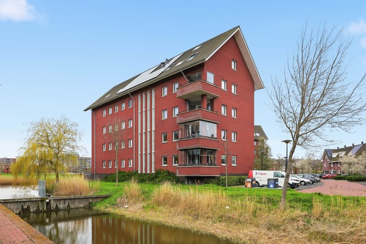Singelweide 91