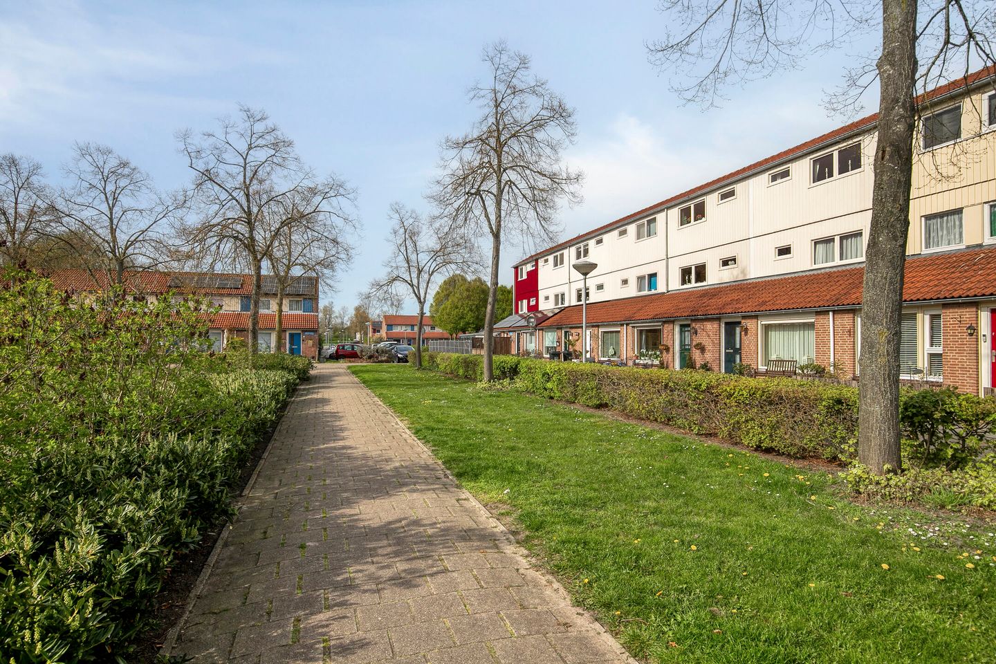 Foto 35 van Zalmplein 12