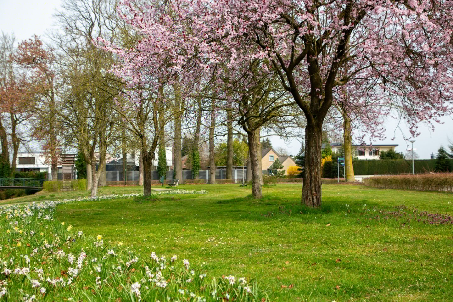 Foto 74 van Laantje van Lasonder 15