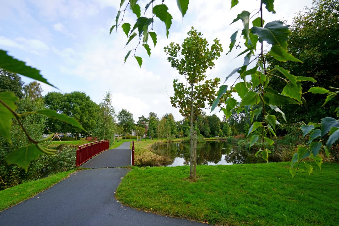 Foto 31 van Jan Mulderstraat 20