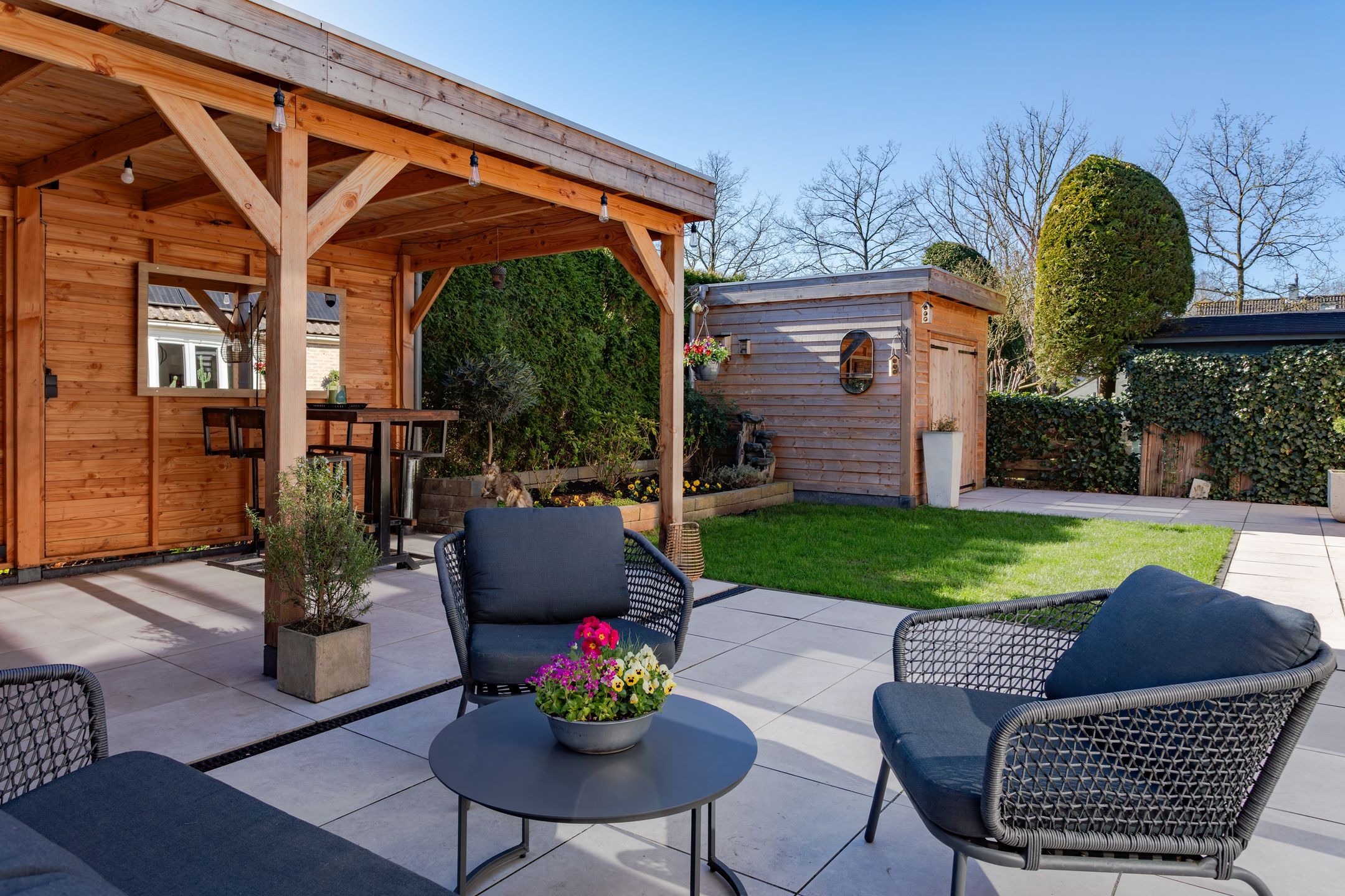 Photo 39 of Houtduif 10