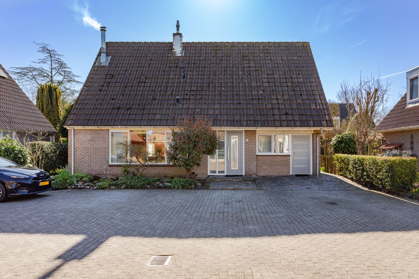 Photo 4 of Houtduif 10