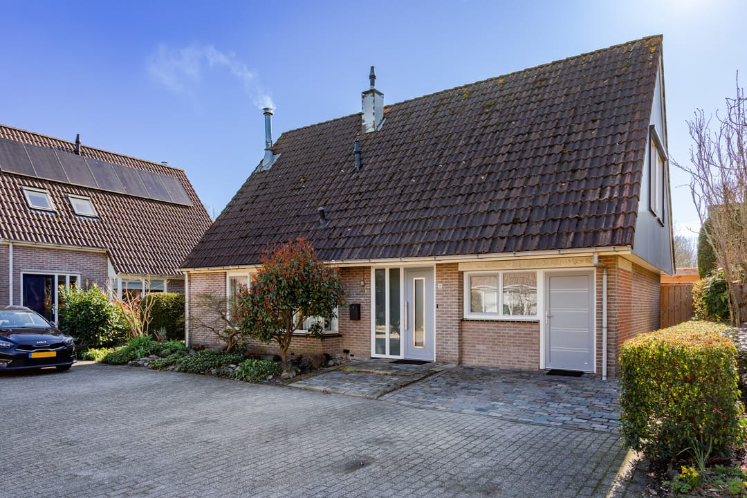 Photo 1 of Houtduif 10