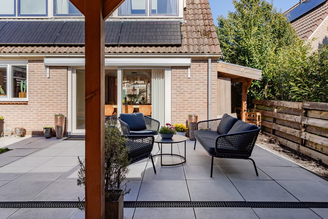 Photo 43 of Houtduif 10