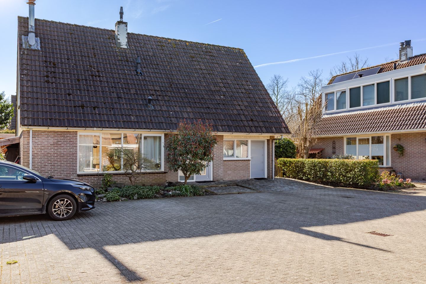 Photo 44 of Houtduif 10