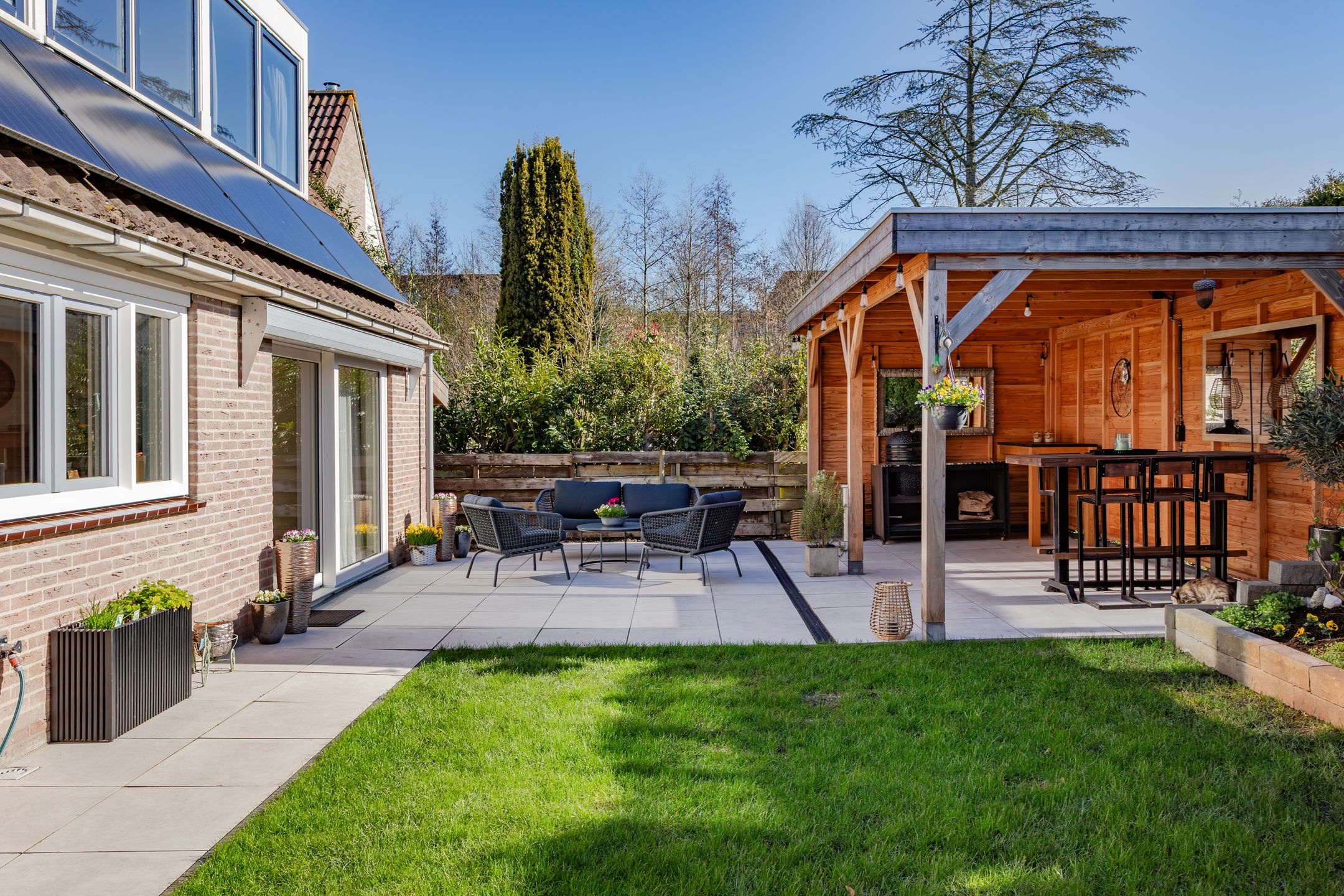 Photo 3 of Houtduif 10