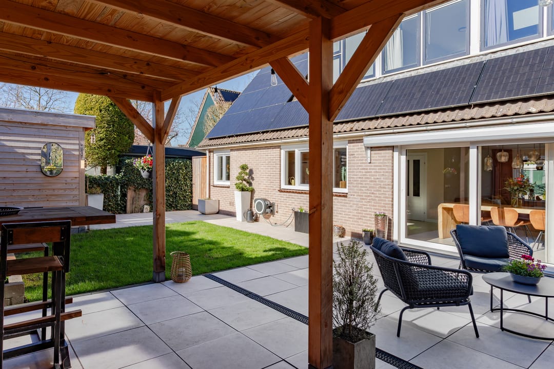 Photo 41 of Houtduif 10