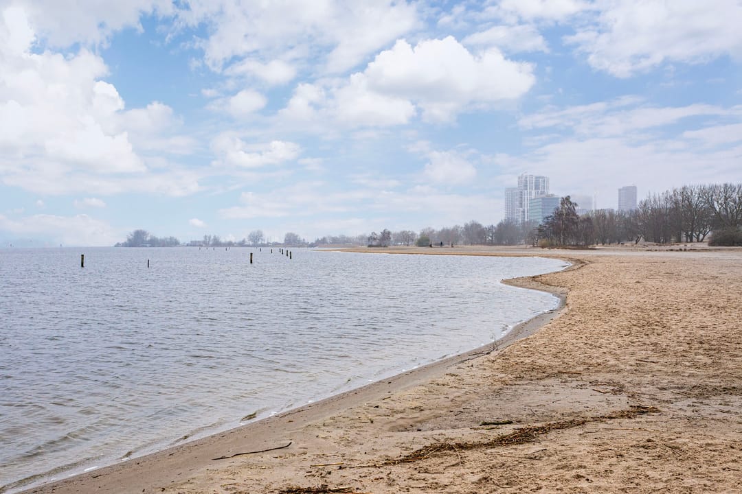 Foto 7 van Vitus Beringstraat 161