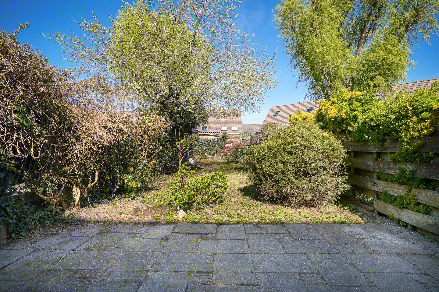 Foto 25 van Paterstraat 130