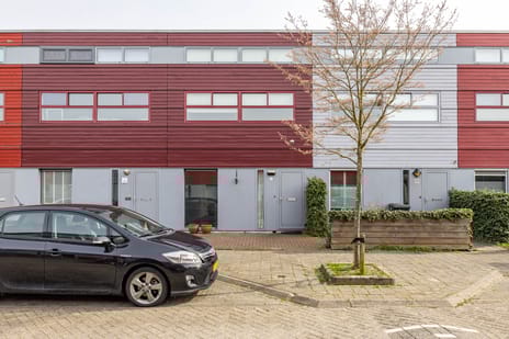 undefined main image