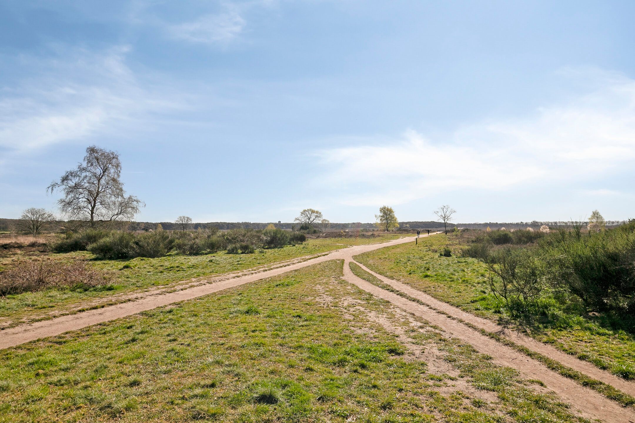 Foto 39 van Willem Barentszstraat 15