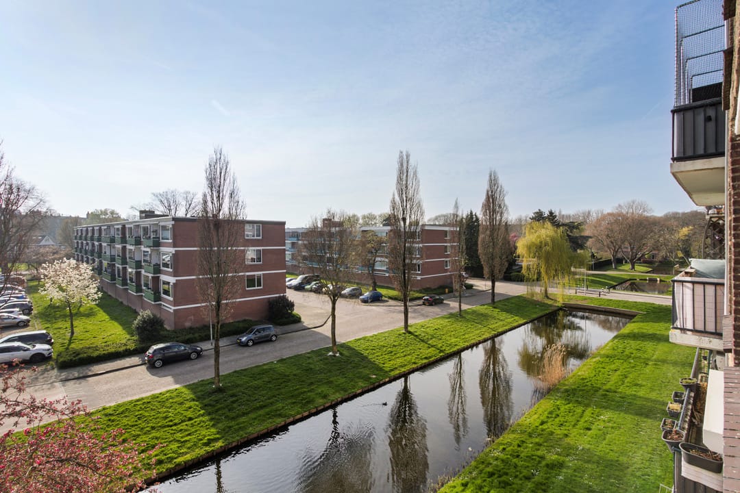 Foto 16 van Dahliastraat 188