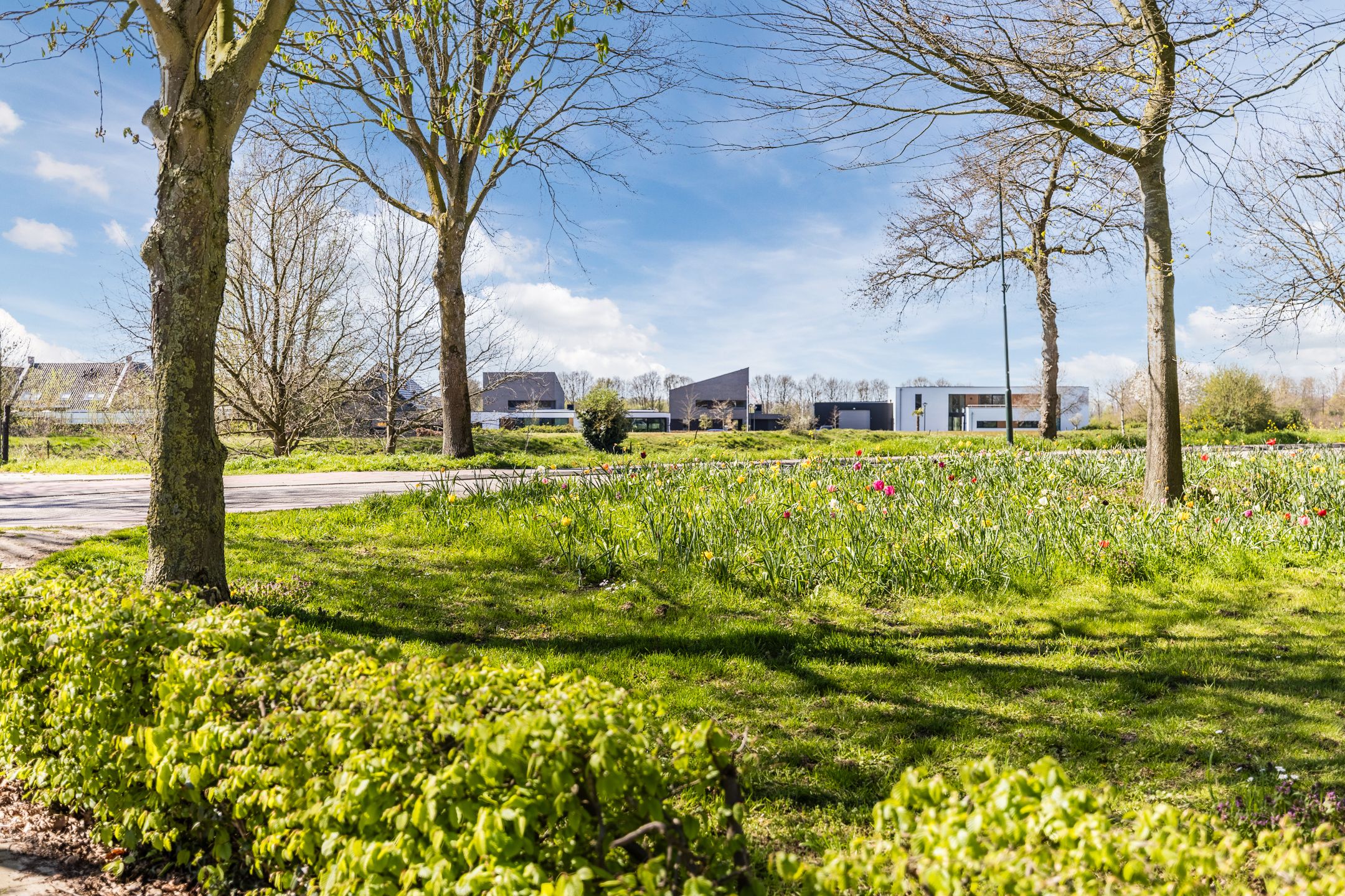 Foto 36 van Baljuwstraat 9