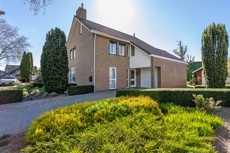 Teune Smeedstraat thumbnail