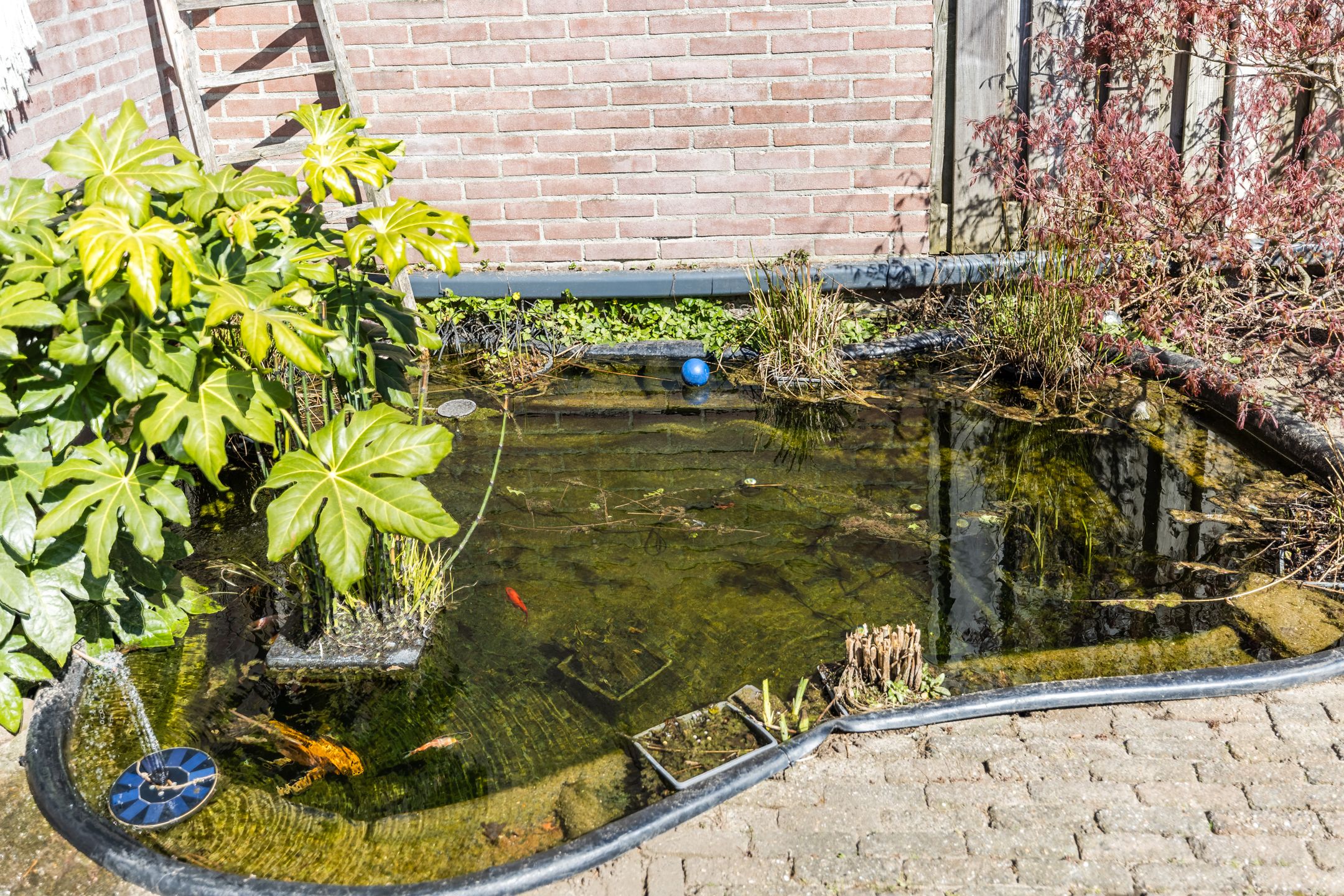 Foto 27 van Baljuwstraat 9