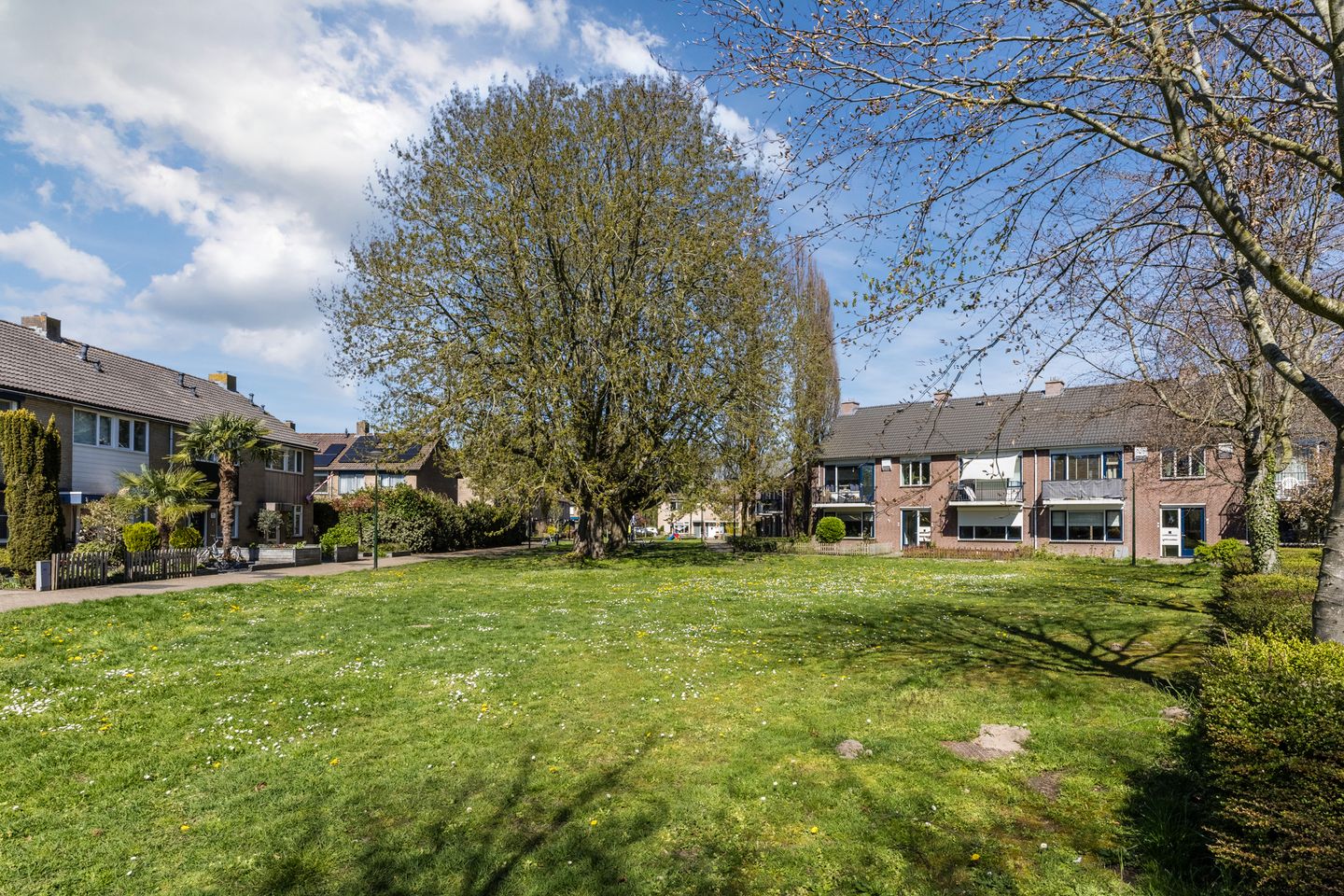 Foto 34 van Baljuwstraat 9