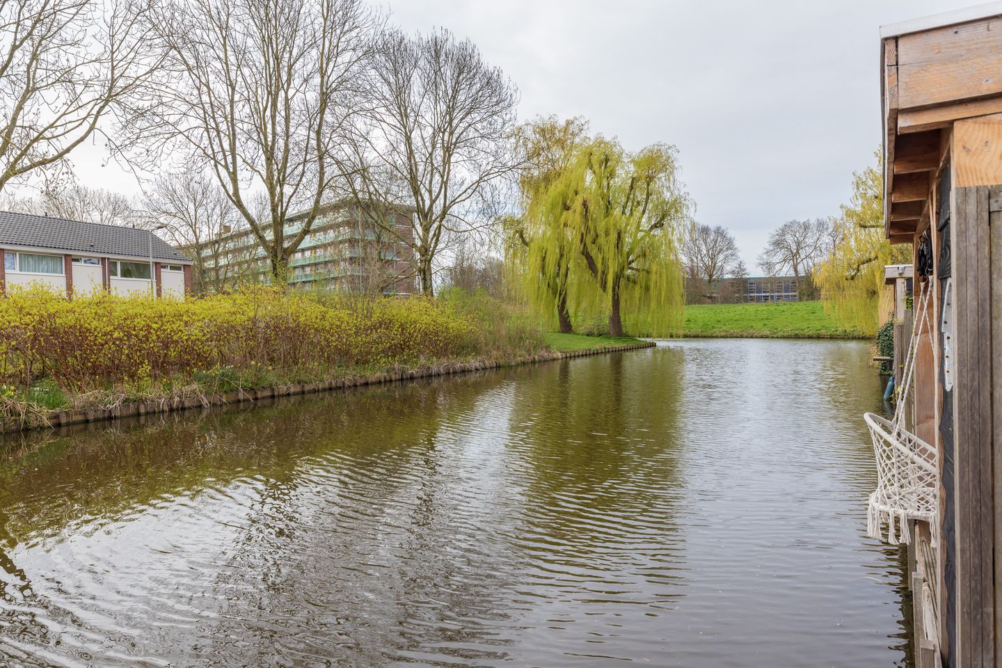 Foto 50 van Spechtstraat 11