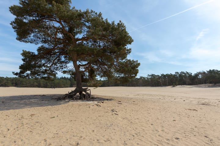 Photo 3 of Heideweg 6-C