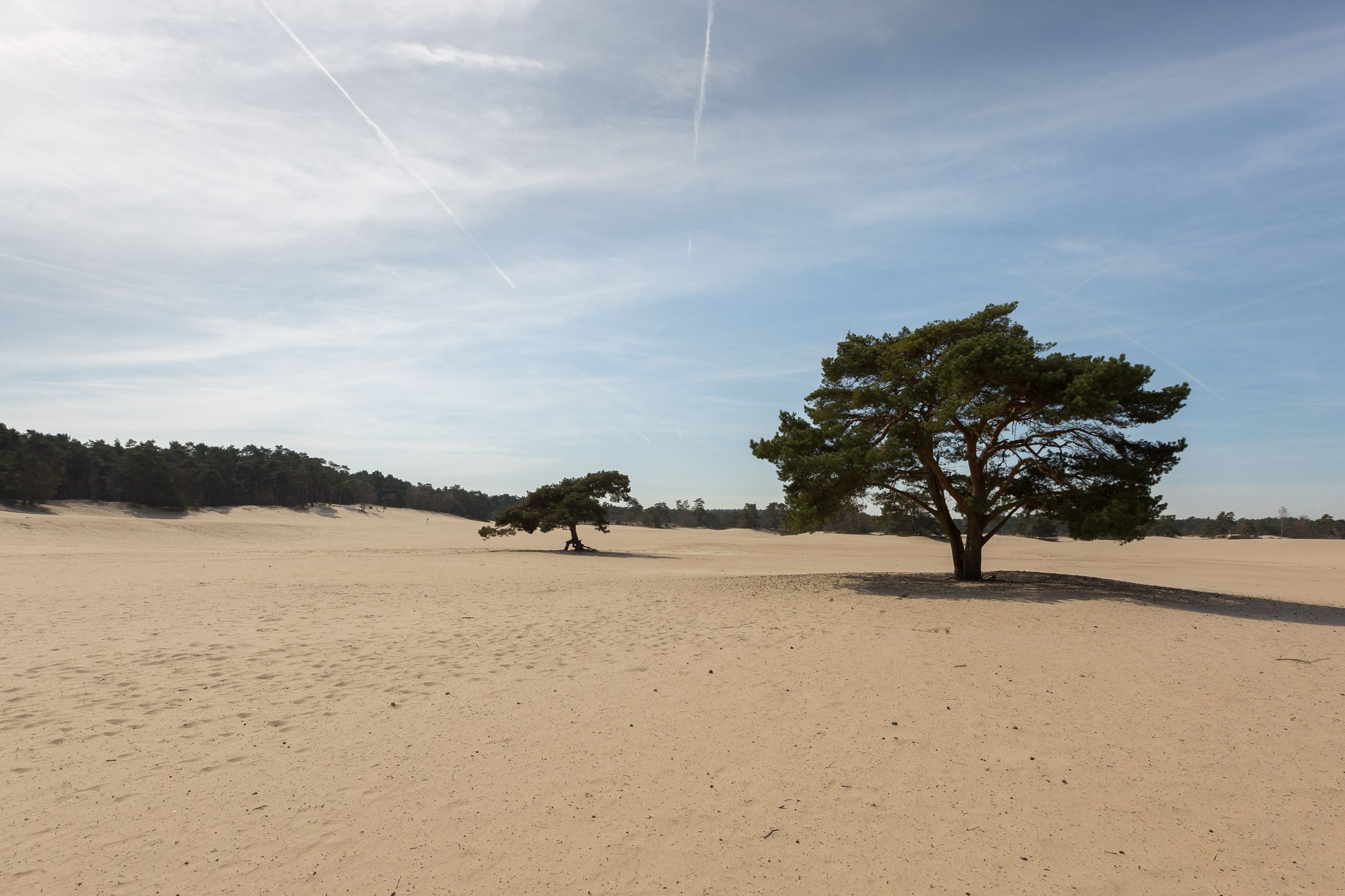 Foto 60 van Heideweg 6-C