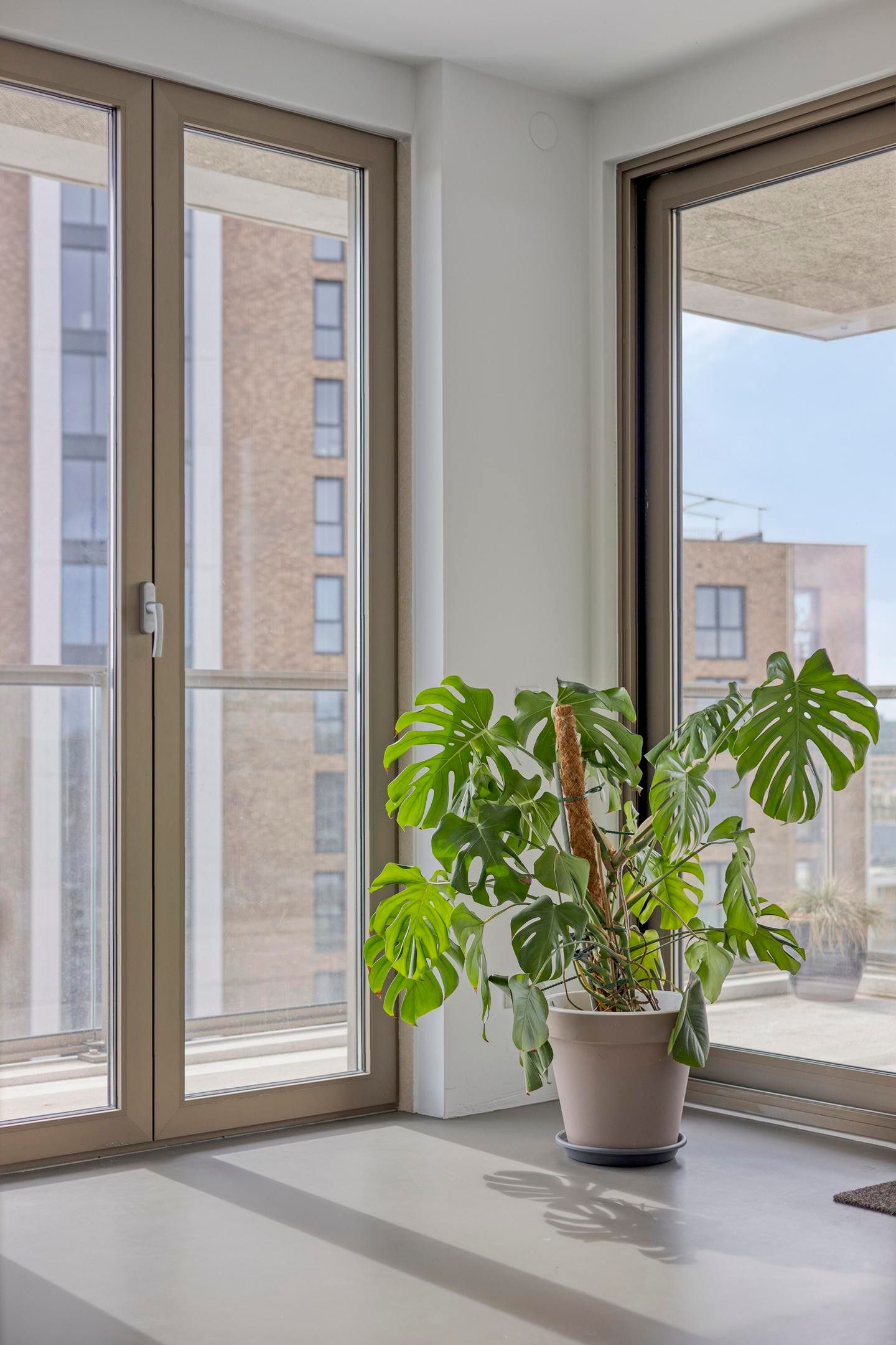 Foto 27 van Klaasje Zevensterstraat 569