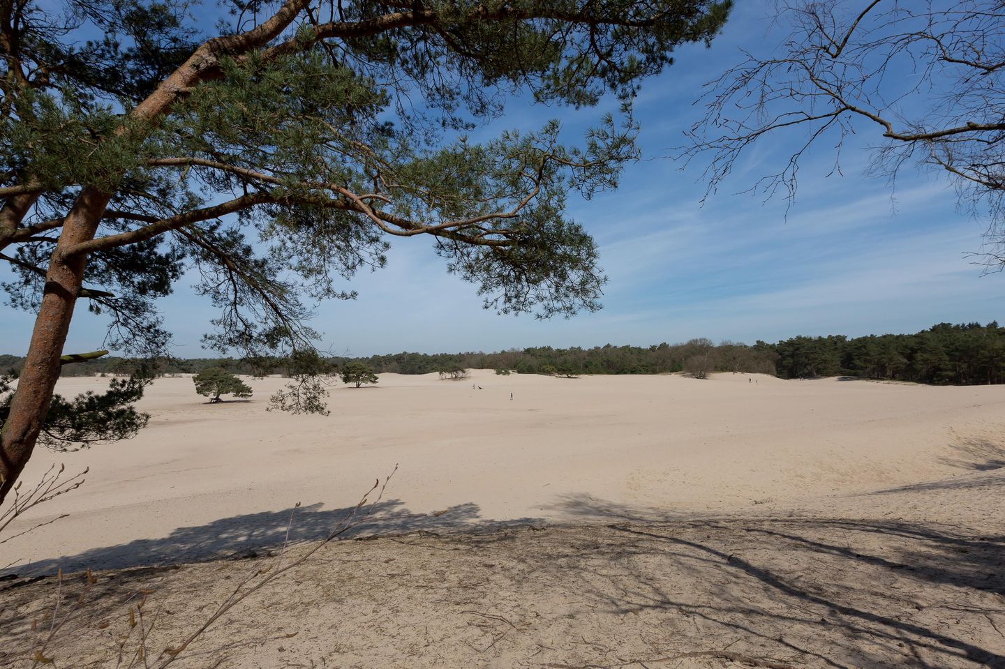 Foto 59 van Heideweg 6-C