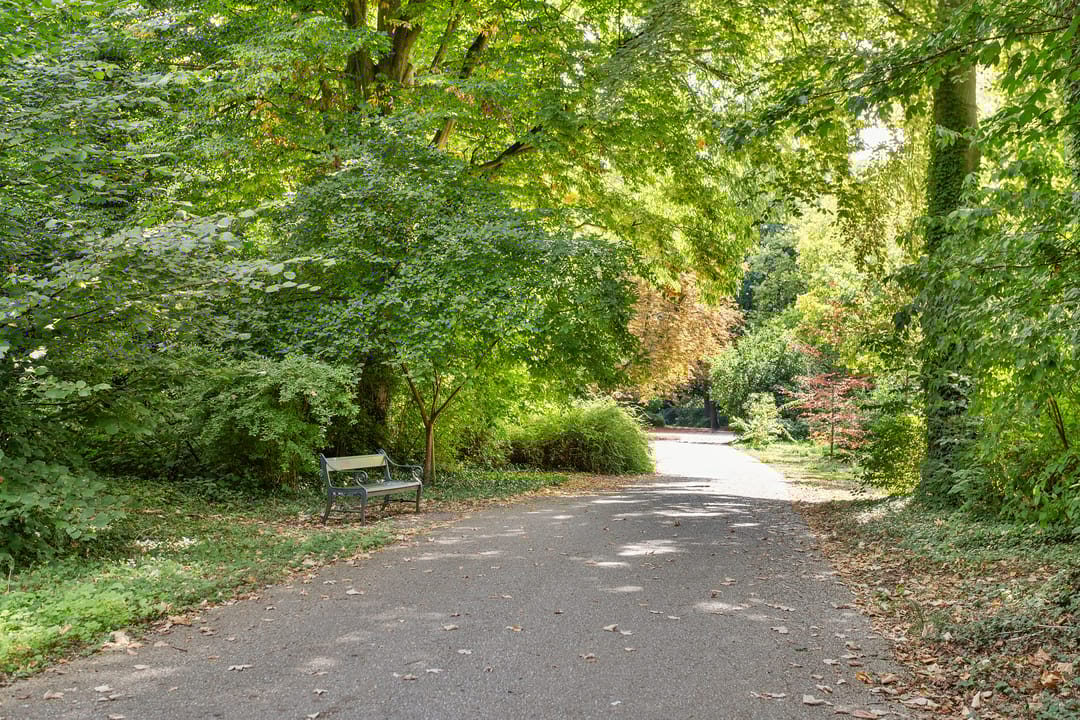 Foto 32 van Geraniumstraat 40