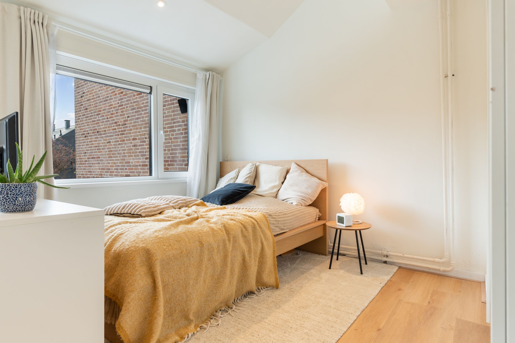 Foto 42 van Driehoek 25