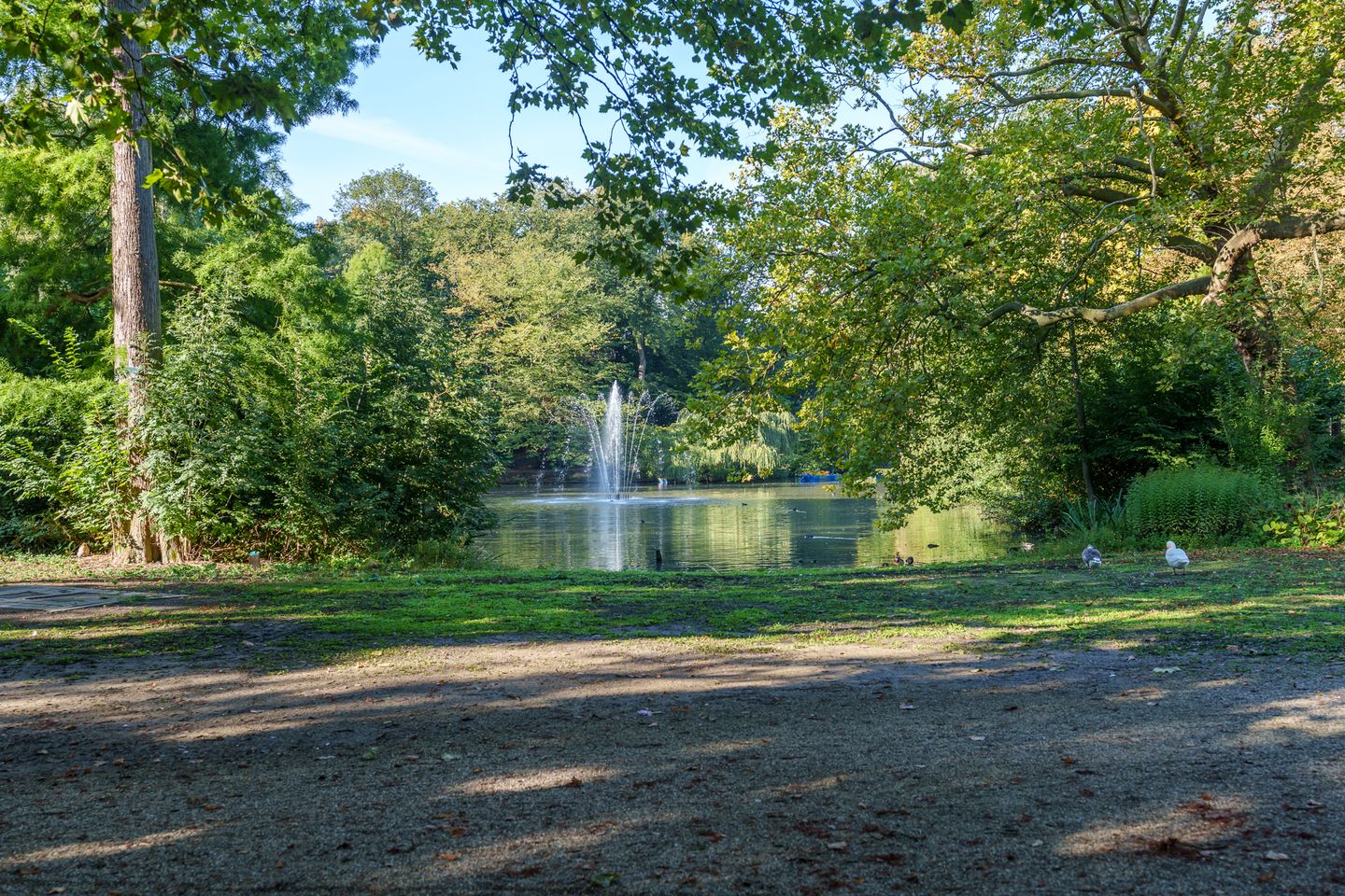 Photo 49 of Amsterdamsestraatweg 699-C