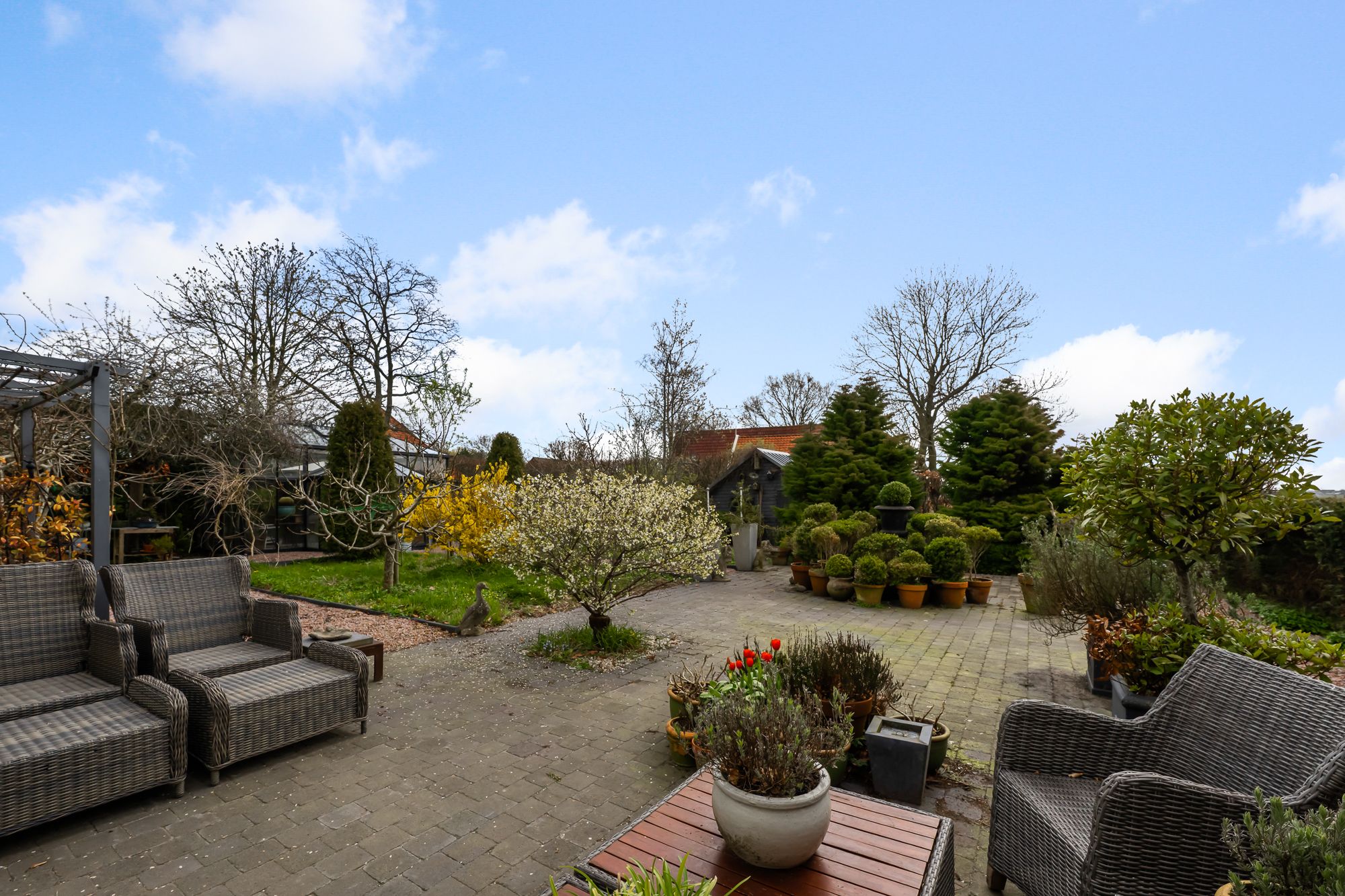 Foto 24 van De Burcht 2