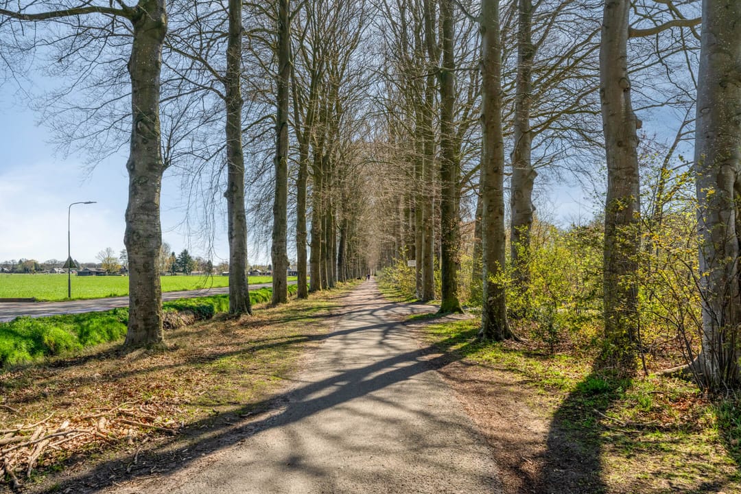 Foto 38 van Mheneweg Zuid 16