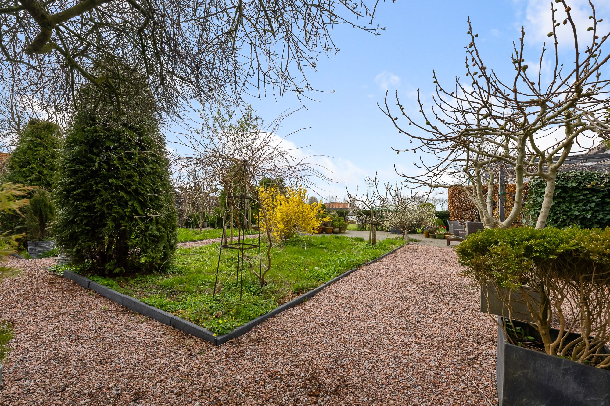 Foto 21 van De Burcht 2