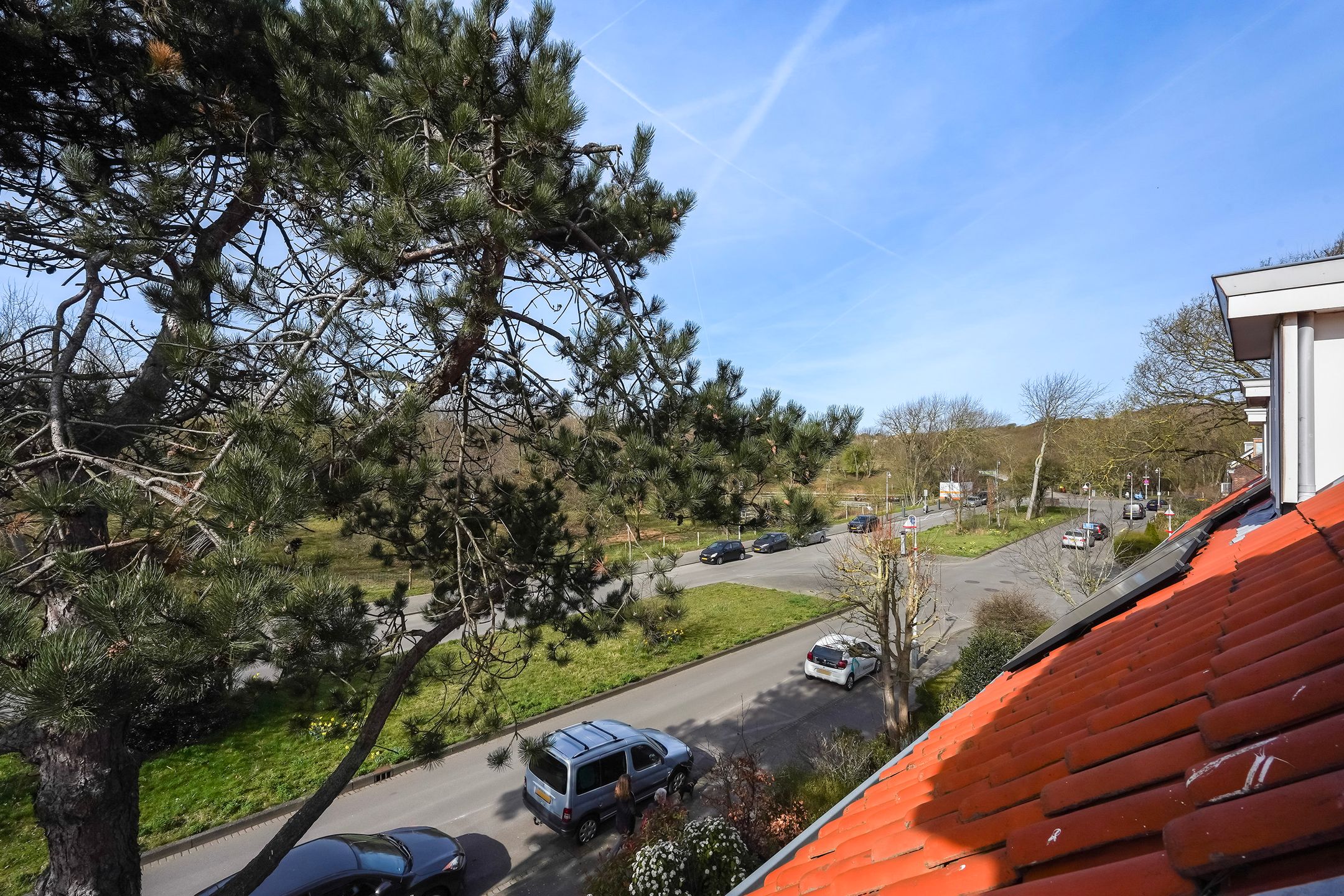 Spacious corner house with dune views and private parking in Vogelwijk — 54
