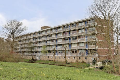 Werumeus Buninglaan thumbnail