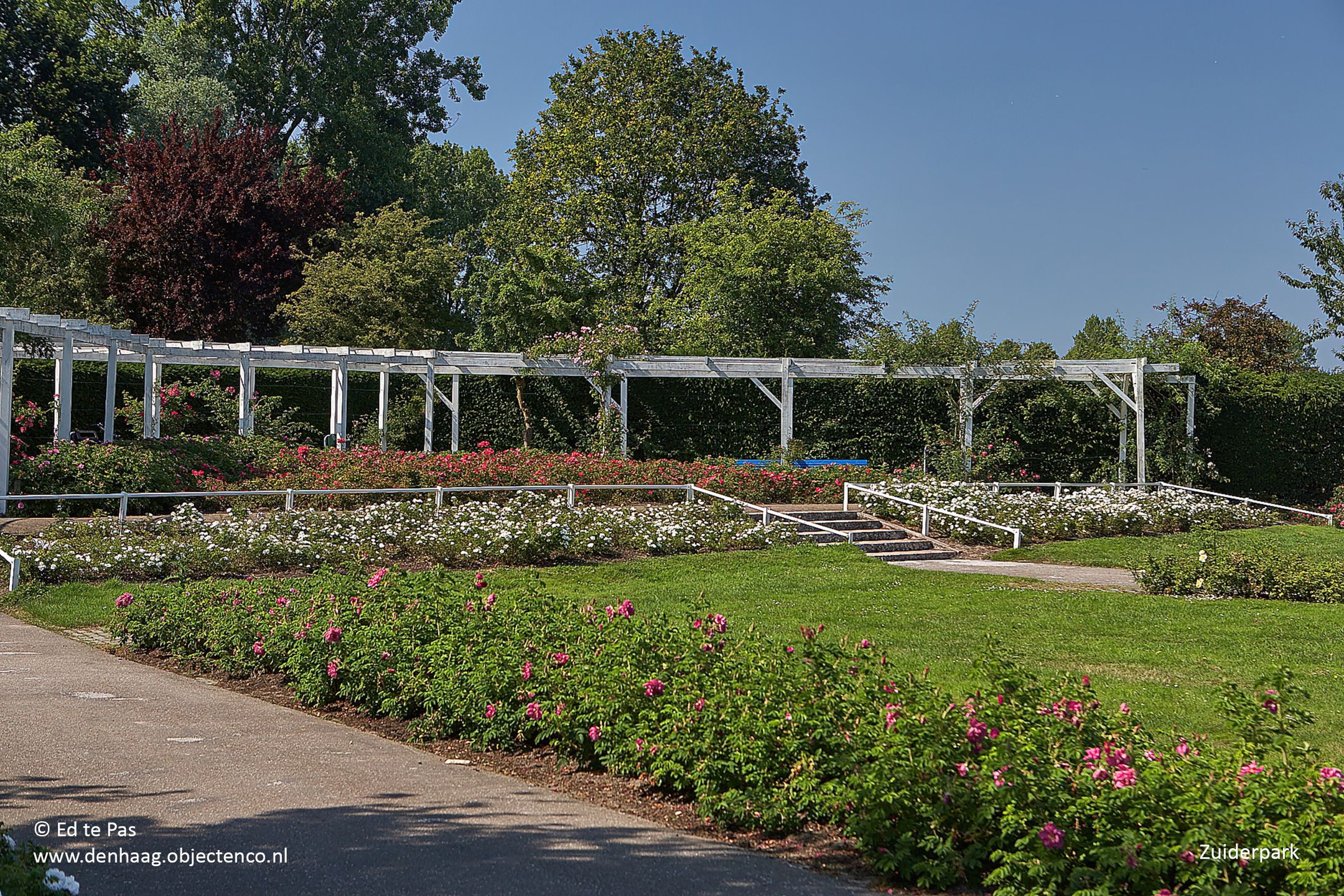 Foto 39 van Meppelweg 644