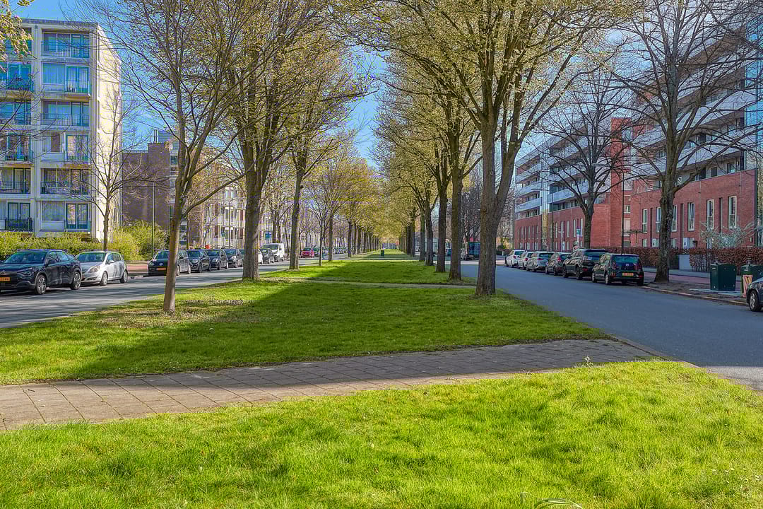 Foto 38 van Meppelweg 644