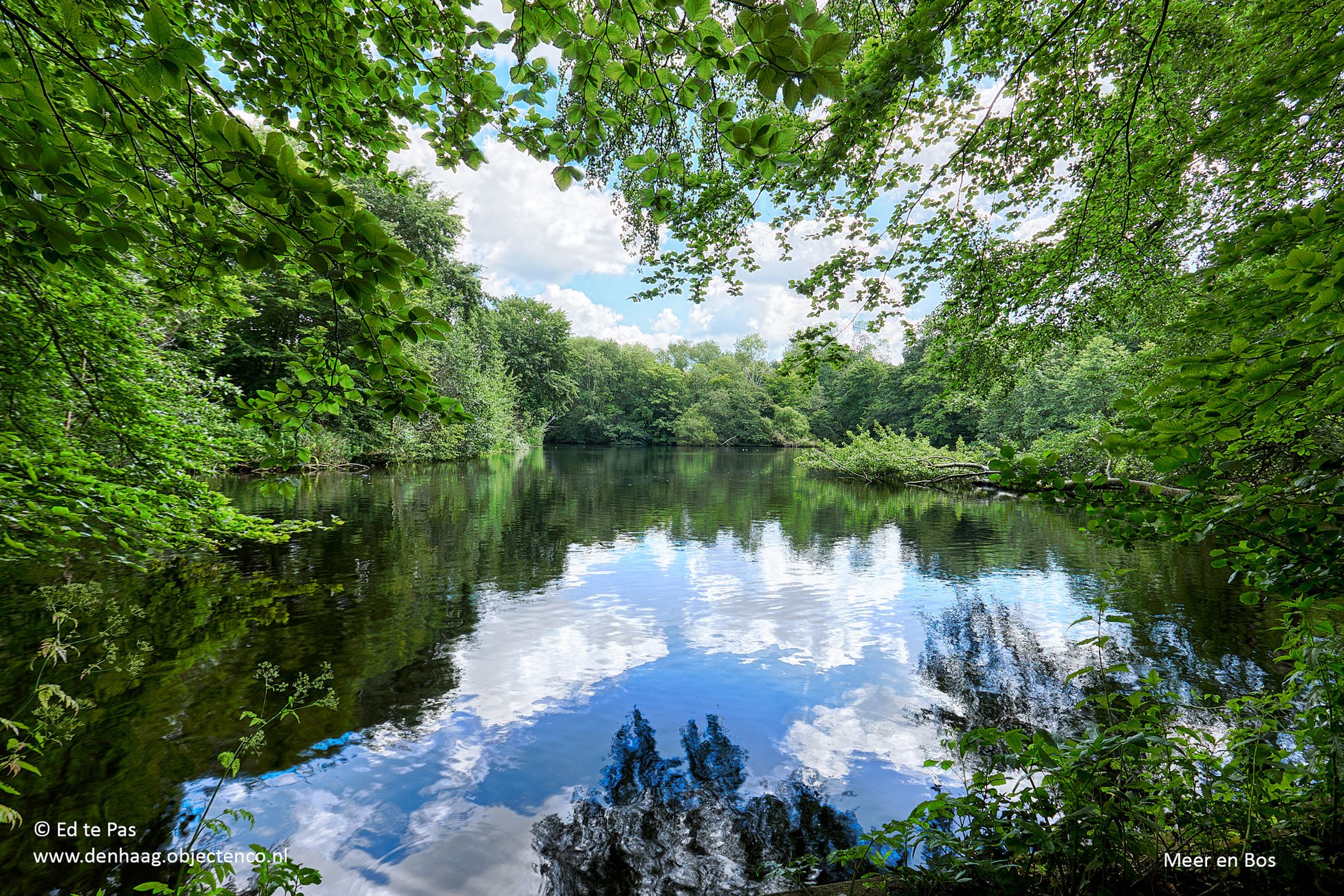 Foto 42 van Meppelweg 644