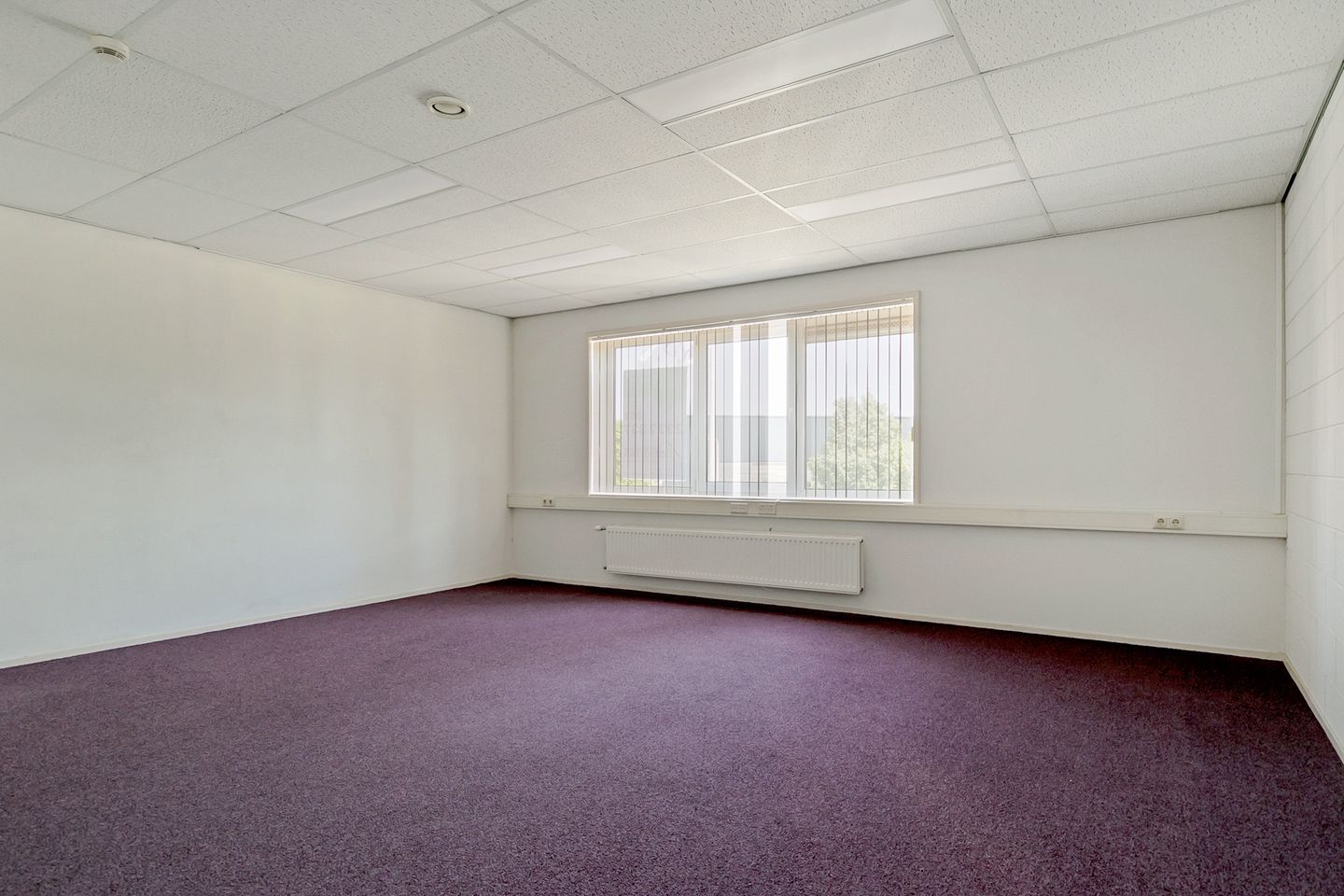 View photo 4 of De Muldyk 1