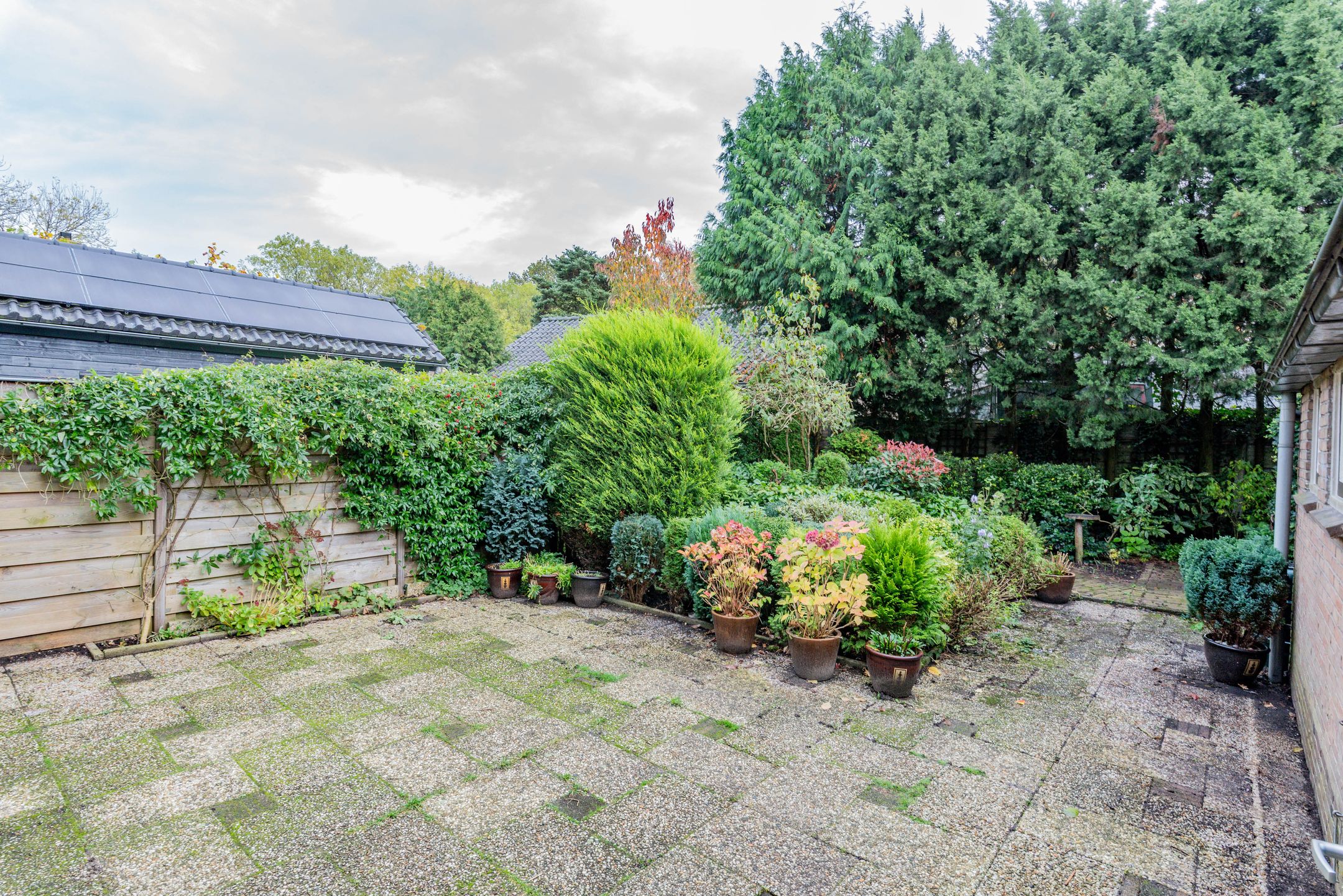 Foto 24 van Oude Renbaan 18