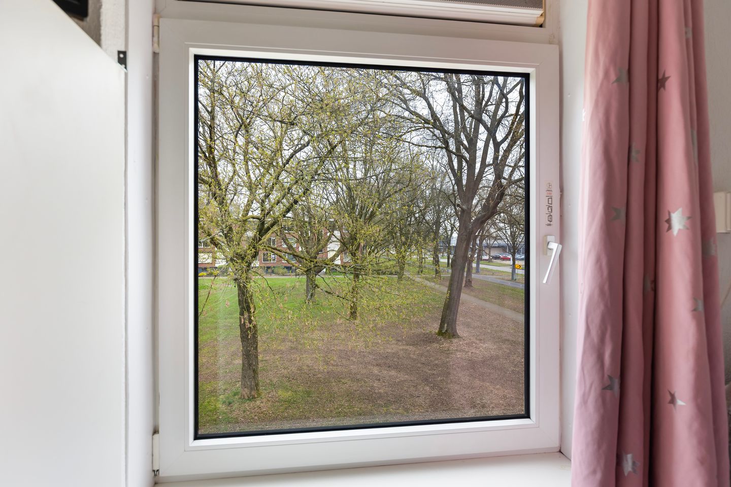 Foto 25 van Haringvliet 41