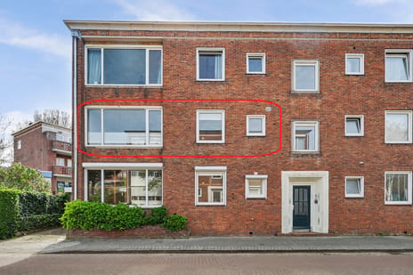 Bosjeslaan thumbnail