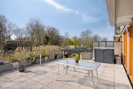 Frank van Borselenstraat thumbnail