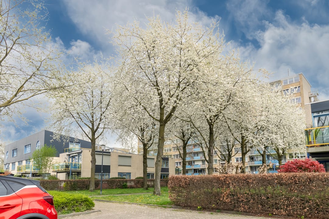 Foto 43 van Zomergemstraat 14