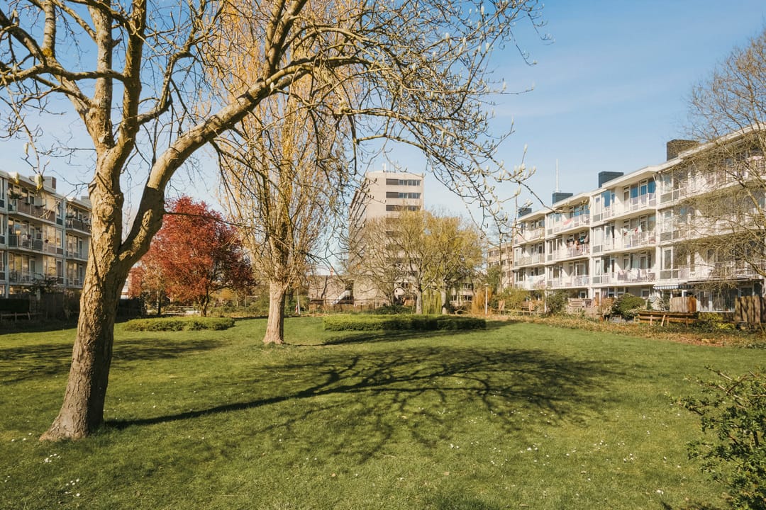 Foto 41 van Havikshorst 86