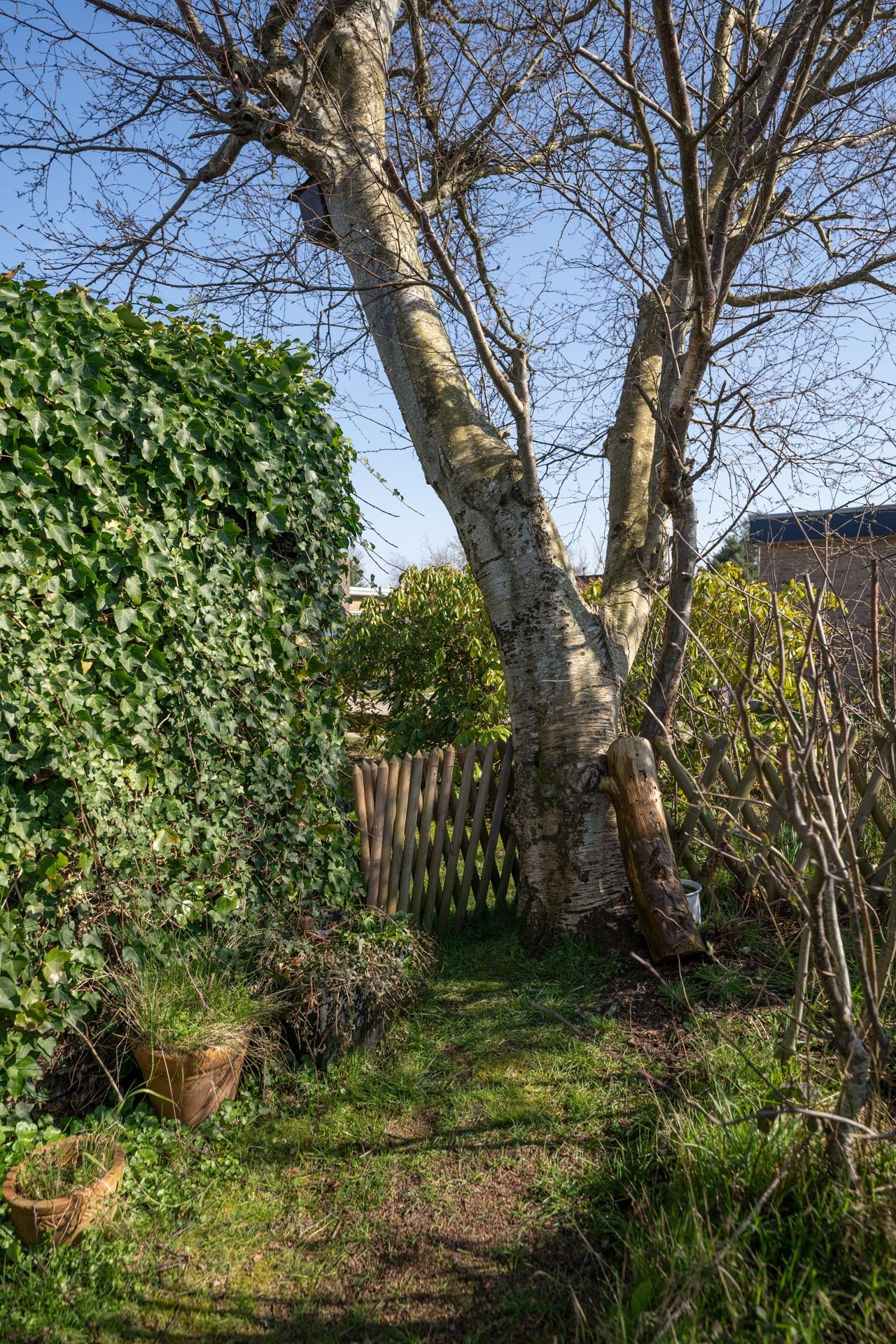 Foto 35 van Gerritslanderdijkje 122