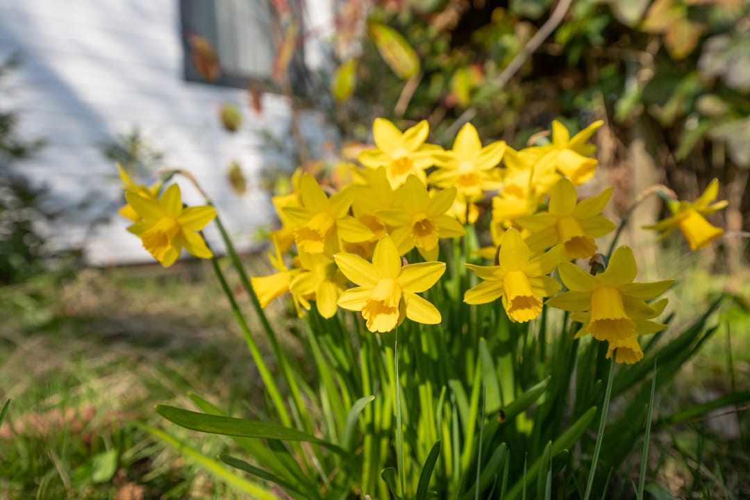 Foto 31 van Gerritslanderdijkje 122