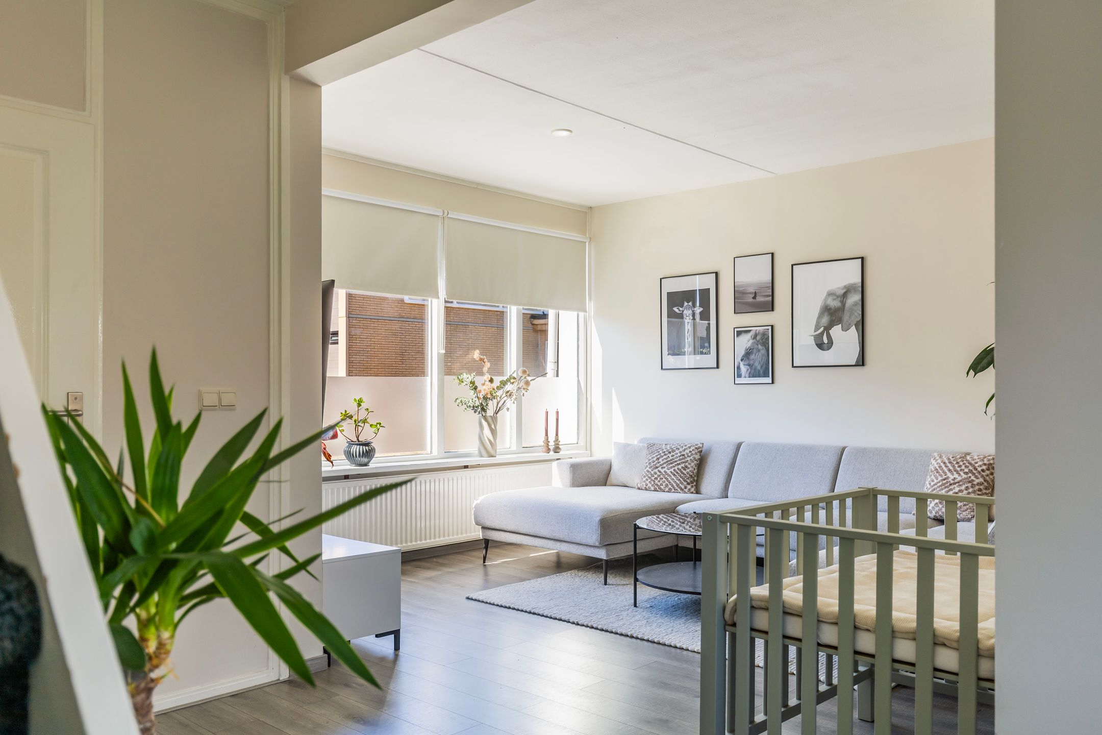 Photo 6 of Akkerwinde 47