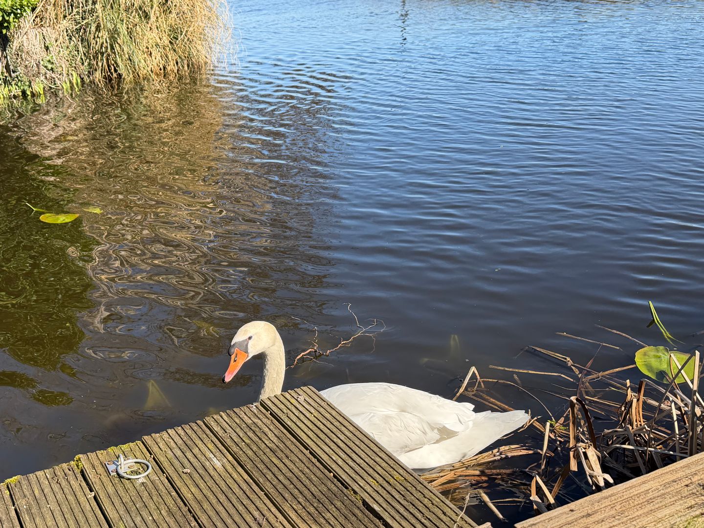 Foto 70 van 2e Loosterweg 143