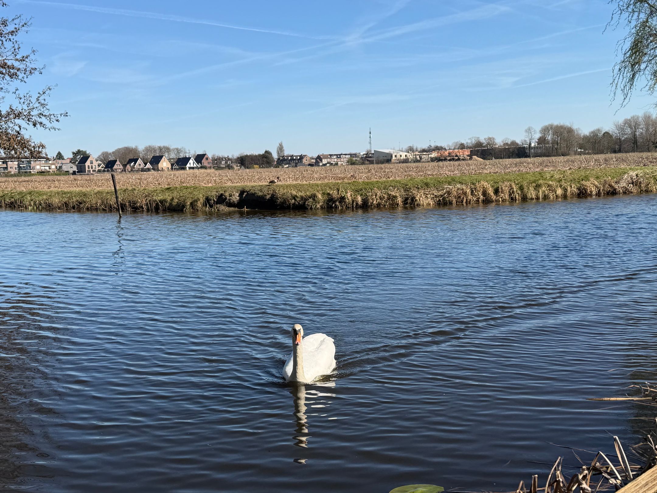 Foto 69 van 2e Loosterweg 143