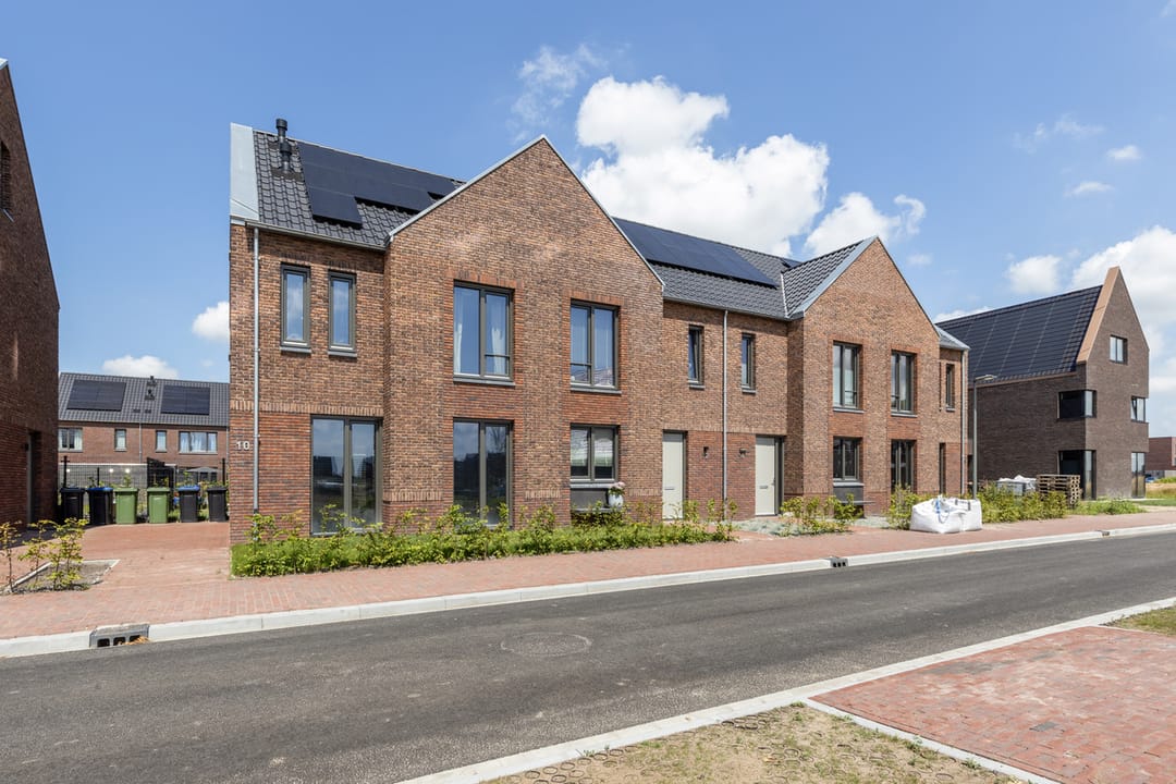 Foto 7 van Rode Geus 2