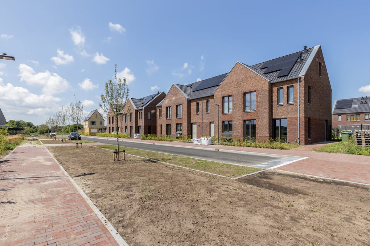 Foto 9 van Rode Geus 2